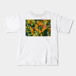 Aerial top down view of vibrant colorful autumn forest Kids T-Shirt